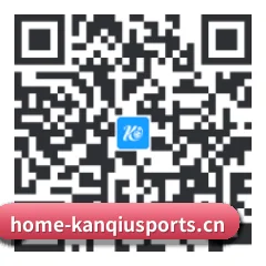 系统版 iOS 二维码